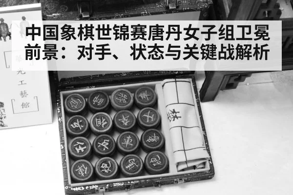 chinese chess pieces